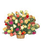 Roses Delivery Thailand