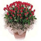 Send Roses To Thailand