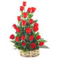 Roses Of Thailand