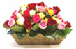rose delivery Thailand