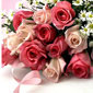 Roses Delivery Thailand