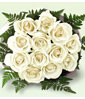 Bangkok Roses