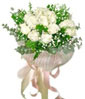 Sending Roses Thailand