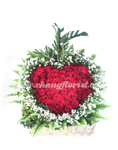 valentine's roses