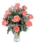 Thailand Roses