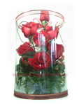 Thailand Roses